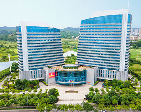 广西德信官网科技股份有限公司