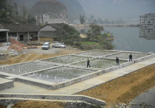 河池大化北景乡那色村环境综合整治项目