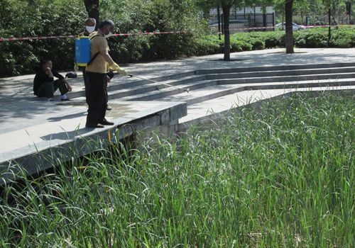 郑州莲湖湿地改建工程示范项目