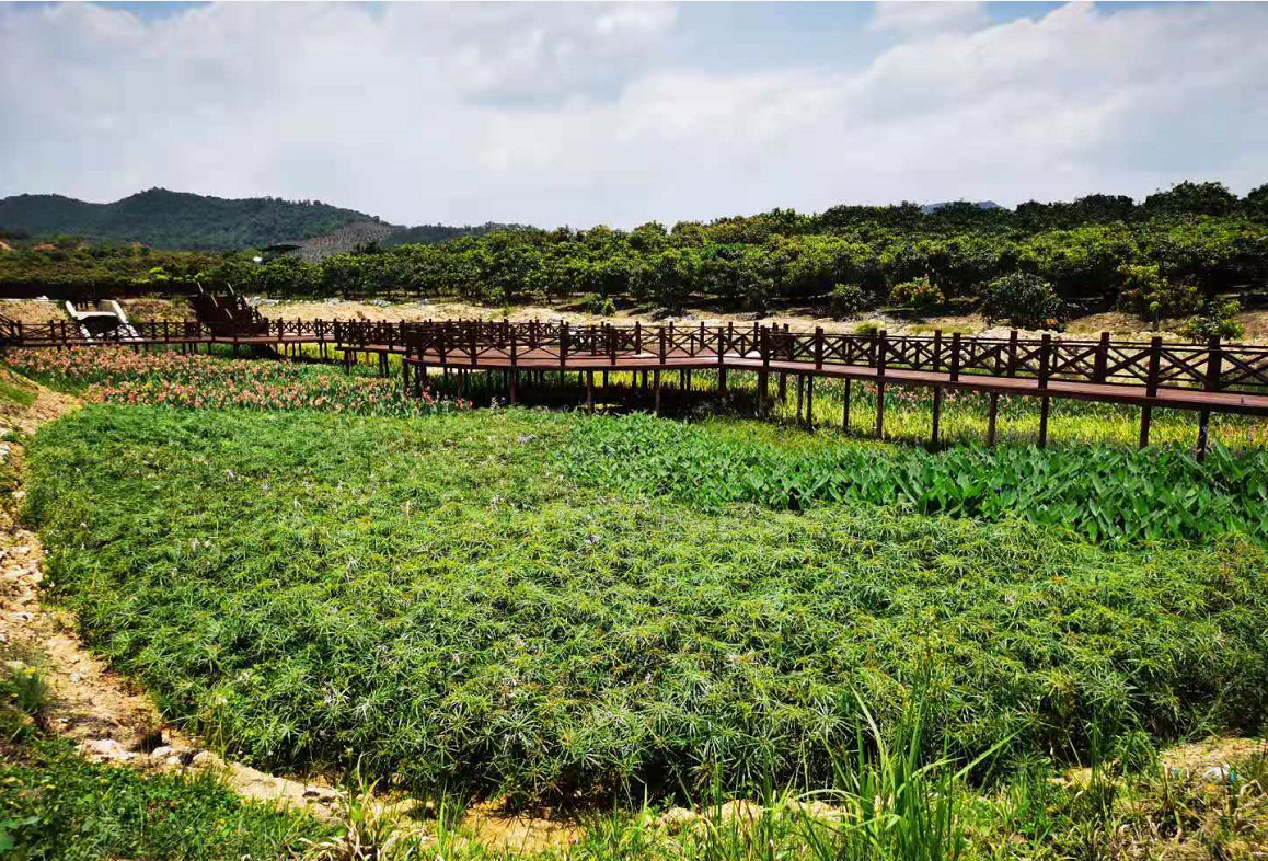 04面源污染治理分项净化池工程_副本.jpg